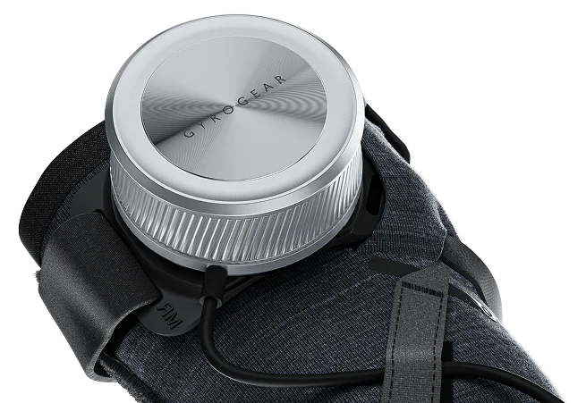 Veterans gyrogear